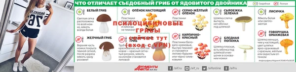 2c-b Богородск