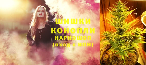 амф Бородино