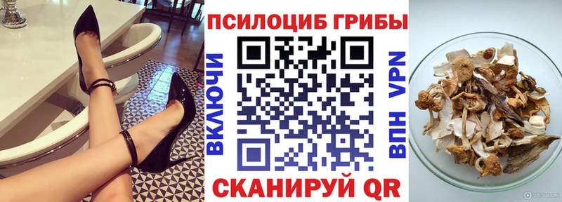 Псилоцибиновые грибы Psilocybine cubensis  Купить закладки  Мичуринск 